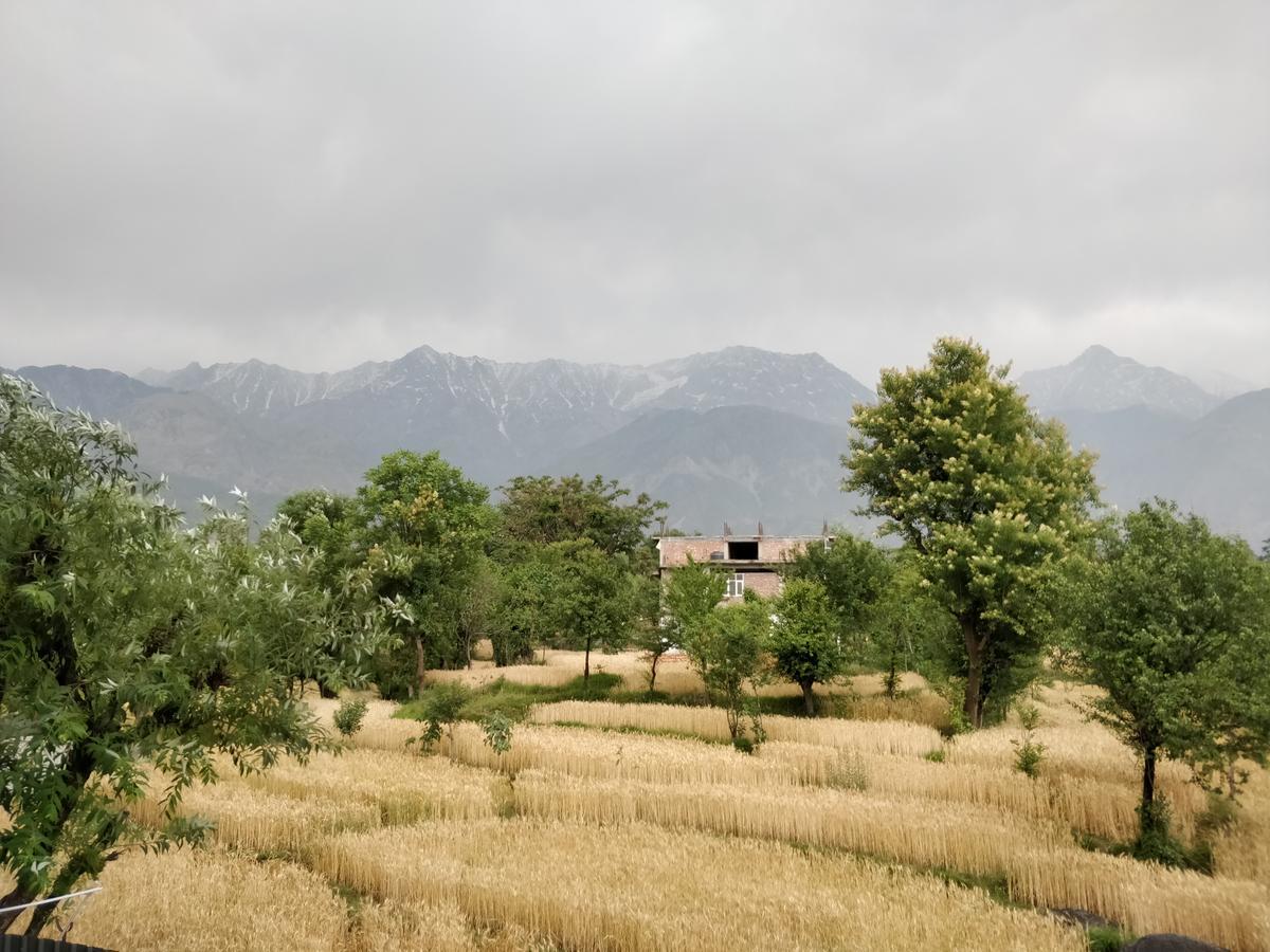 D'Polo Club & Spa Resort 达兰萨拉 外观 照片