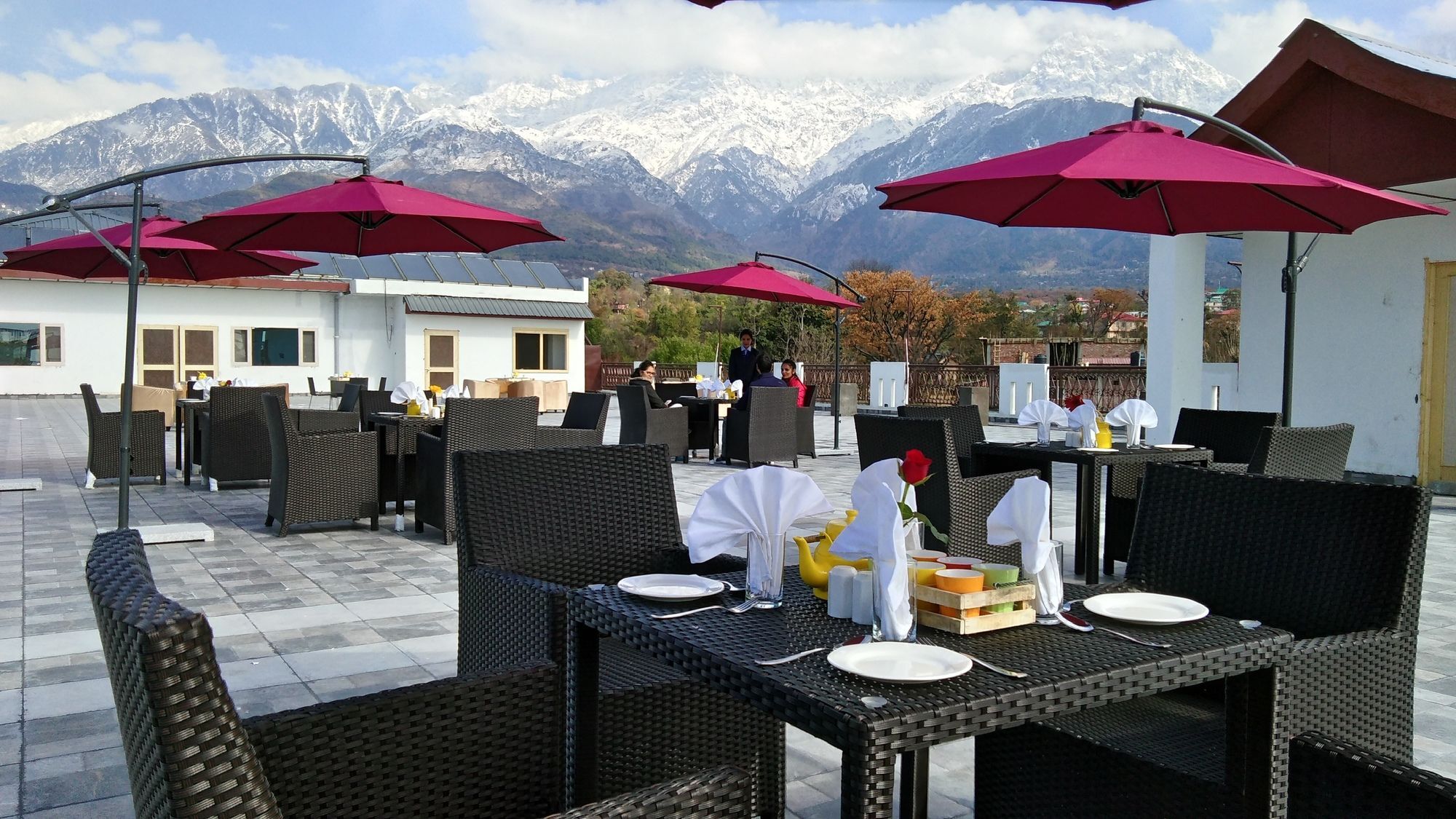 D'Polo Club & Spa Resort 达兰萨拉 外观 照片